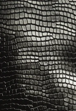 Schutz Maryana Block Boot